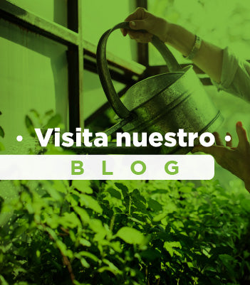 Control de hongos y plagas