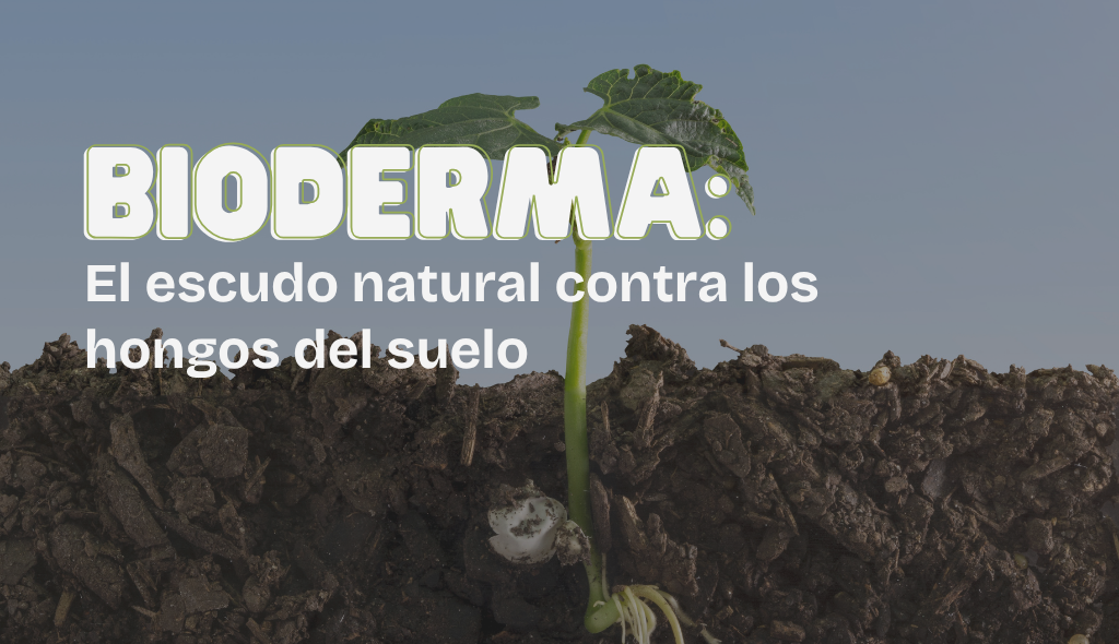BioDerma: el escudo natural contra los hongos del suelo