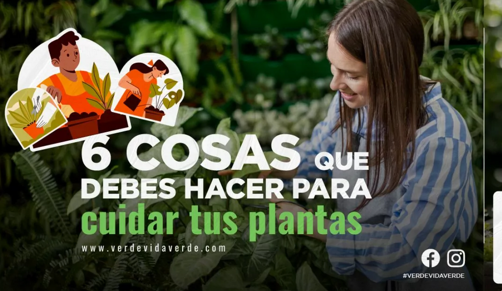 6 cosas que DEBES hacer para cuidar tus plantas