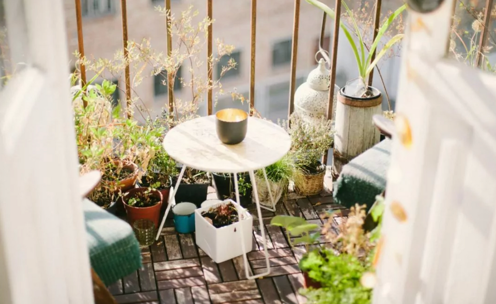 ¡Es temporada de vacaciones! Hora de proteger las plantas del abandono temporal.