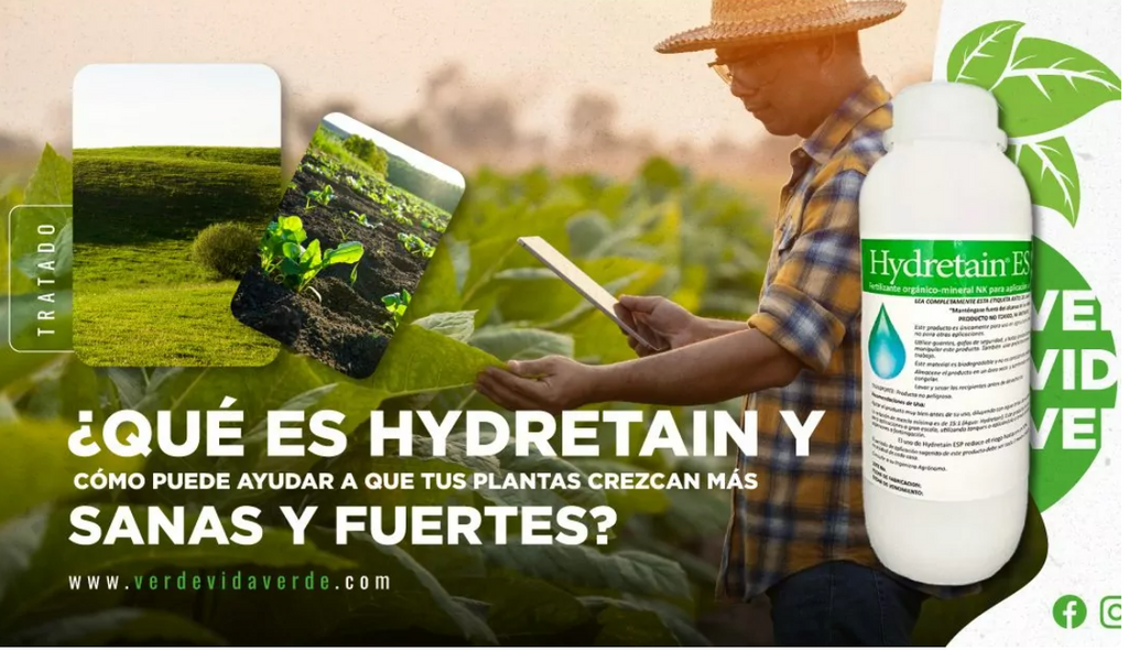 ¿Qué es Hydretain y cómo puede ayudar a que tus plantas crezcan más sanas y fuertes?