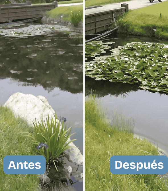 Aqua-T Cuñete x 6 bolsas (3 Libras).  Bacterias que ya existen en su estanque, pero en dosis elevadas. Limpia lodos y contenido orgánico, sin necesidad de sacar el agua. Estanques deportivos, de riego, acuicultivos, recreativos. Costo de envío incluido.