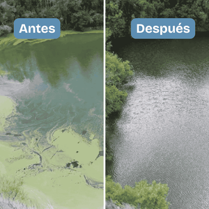 Aqua-T. Envase x 2 bolsas (1 libra). Bacterias que ya existen en su estanque, pero en dosis elevadas. Limpia lodos y contenido orgánico, sin necesidad de sacar el agua. Estanques deportivos, de riego, acuicultivos, recreativos. Costo de envío incluido.