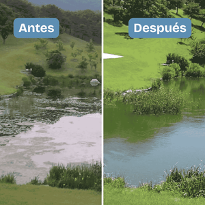 Aqua-T x 20 bolsas (10 libras).  Bacterias que ya existen en su estanque, pero en dosis elevadas. Limpia lodos y contenido orgánico, sin necesidad de sacar el agua. Estanques deportivos, de riego, acuicultivos, recreativos. Costo de envío incluido.
