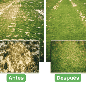 Hydretain tamaño institucional y agrícola | Barril 113 litros. Hidratación eficiente con menos agua: ideal para cultivos, campos deportivos, jardines, reforestación, revegetalización. Aplicación trimestral. Ahorro por volumen =$83.800 por litro.