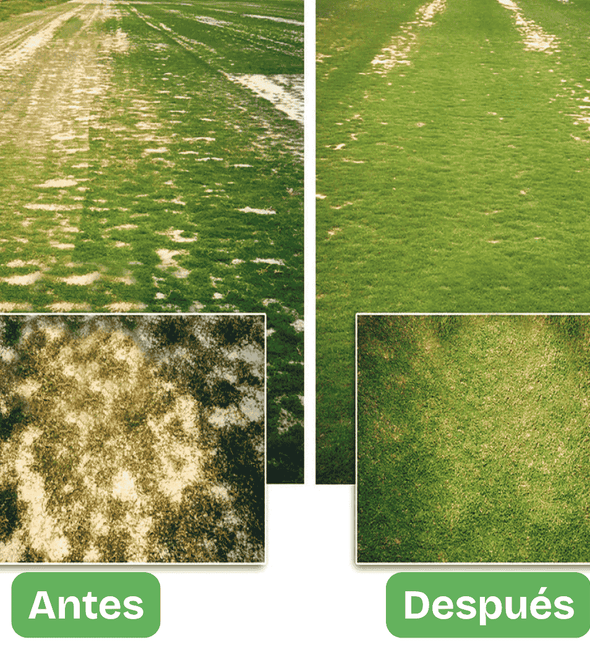 Hydretain tamaño institucional y agrícola | Bidón de 20 litros. Hidratación eficiente con menos agua: ideal para cultivos, campos deportivos, jardines, reforestación, revegetalización. Aplicación trimestral. Ahorro por volumen =$83.400 por litro.