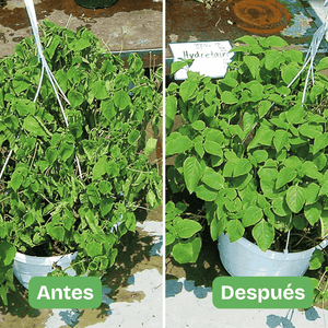 Hydretain botella 950 ml. Ahorro en paquete x3 uds, caja x16 uds. Administrador de humedad para mayor supervivencia con menos agua. Para cultivos, pastos, jardines, plantas de interior, reforestación, revegetalización. Aplicación trimestral.