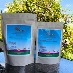 BioDerma. Hongo antagonista que controla las enfermedades causadas por hongos patógenos en las raíces de todo tipo de plantas, pastos, cultivos. Estimula el enraizamiento para un mejor desarrollo de las plantas. Amigable con el medio ambiente.
