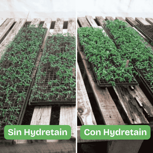 Hydretain caja 950 ml x16. Administrador de humedad para mayor supervivencia con menos agua. Para cultivos, pastos, jardines, plantas de interior, reforestación, revegetalización. Aplicación trimestral.